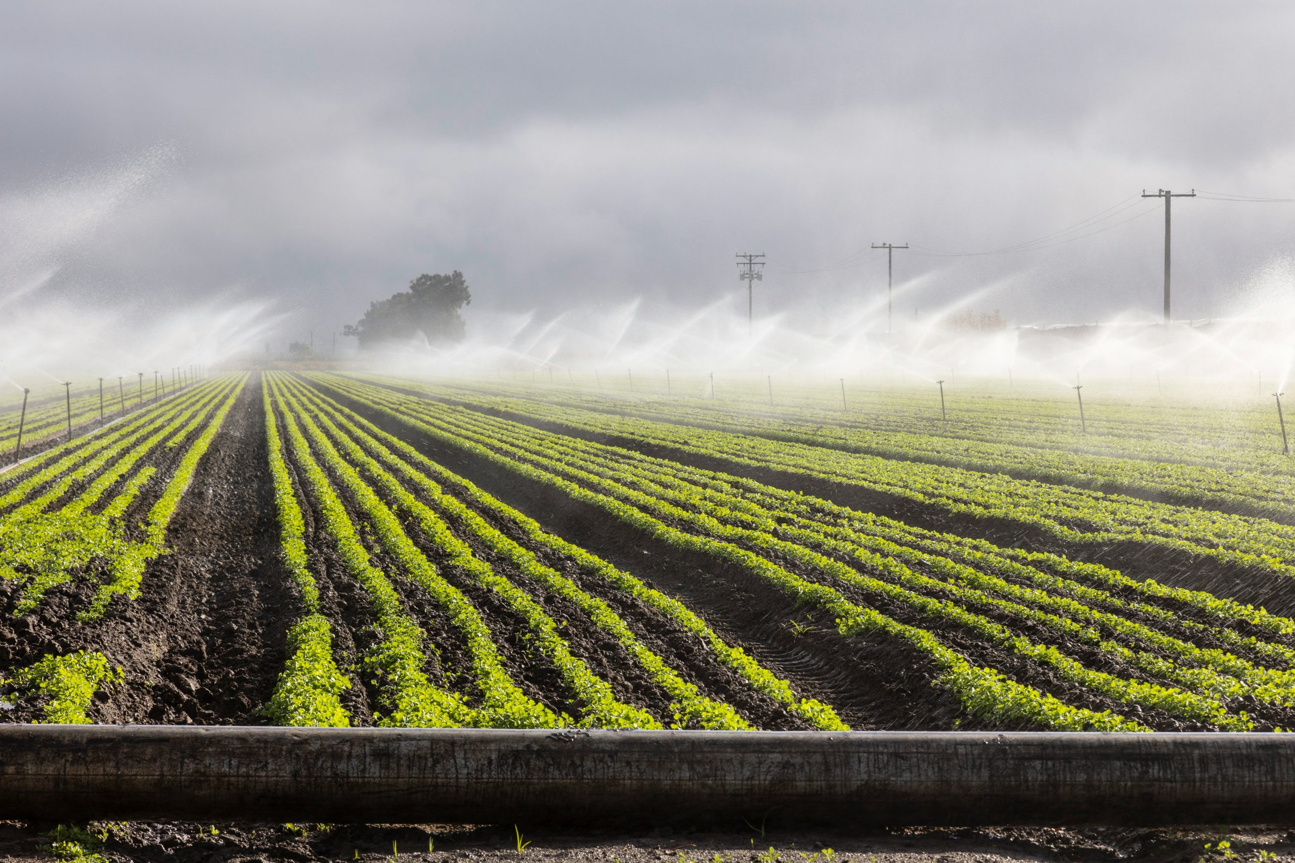 MERCOSUR, la Unión Europea y los agricultores: una historia de retos a largo plazo