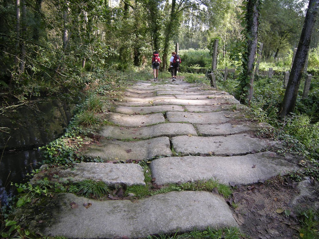 El Homo viator medieval: el Camino de Santiago